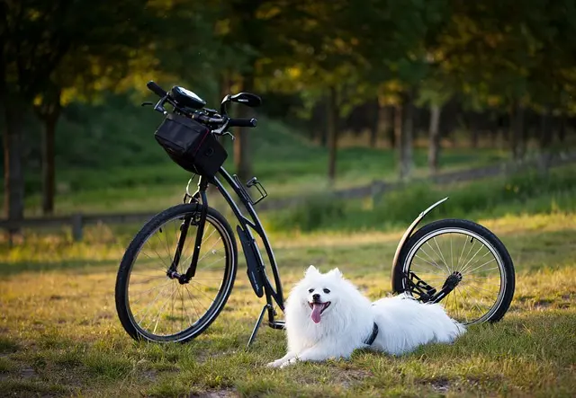10 gadgets technologiques pour enrichir vos activités de plein air